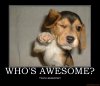 whos-awesome-awesome-demotivational-poster-1216390759.jpg