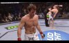Bisping sonnen.jpg
