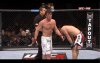 bisping sonnen 2.jpg
