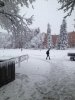 IMG_0247.jpg