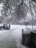 IMG_0249.jpg