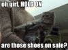 CatMeme.jpg