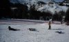 ski.jpg