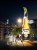 corona-beer-city-600-16543.jpg
