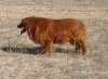 March242011 073.jpg