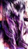 purple.jpg