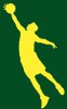 Gordon+Hayward+sillhouette yellow on green.jpg