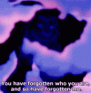 1648562741385.gif