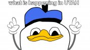 dolanduck.jpg