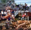 karl malone being based collage.jpg