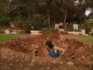 1672855178830.gif