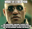 1677261501607.png