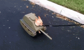 1679580152199.gif