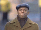 1680321694157.gif
