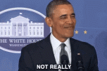 1682450101784.gif