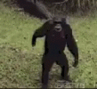1683381406561.gif
