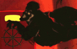 IMG_8060.gif