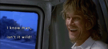 1688094542248.gif