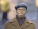 1694951938243.gif