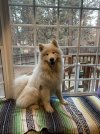 IMG_0166.jpeg