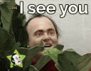 1697664600948.gif