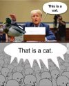 IMG_2970.jpeg