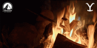 1703003435256.gif