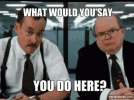 1703124075015.gif
