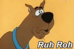 1706473868582.png