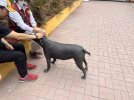 IMG_8141.jpeg