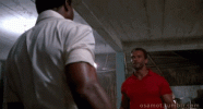 giphy (2).gif