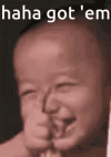 1712196948827.gif