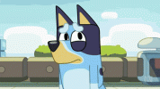 1719437902357.gif