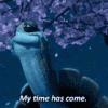 1000014446.gif