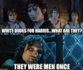 1723391792404.png