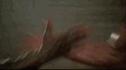 1733932398093.gif