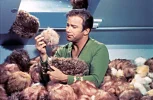 trouble-with-tribbles-50th-opener.webp
