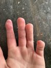 IMG_4566.jpeg