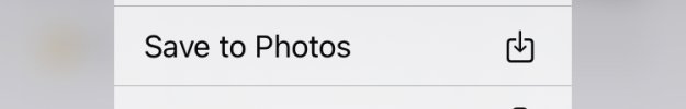 IMG_5362.jpeg