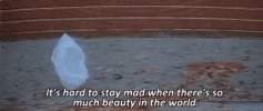 1752799285930.gif