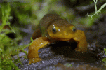 IMG_4514.gif