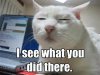 I see what you did there CAT.jpg