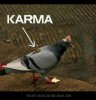Karma3.jpg