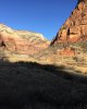 IMG_0553.jpg