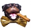 4181769-triumph-insult-comic-dog.jpg