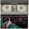 hayward5.jpg