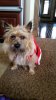 20151225_140412.jpg
