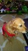 20151225_084126.jpg