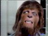 teen_wolf.jpg