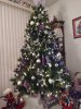 IMG_20181214_214412386.jpeg